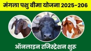 मंगला पशु बीमा योजना: नि: शुल्क बीमा के ऑनलाइन रजिस्ट्रेशन शुरू