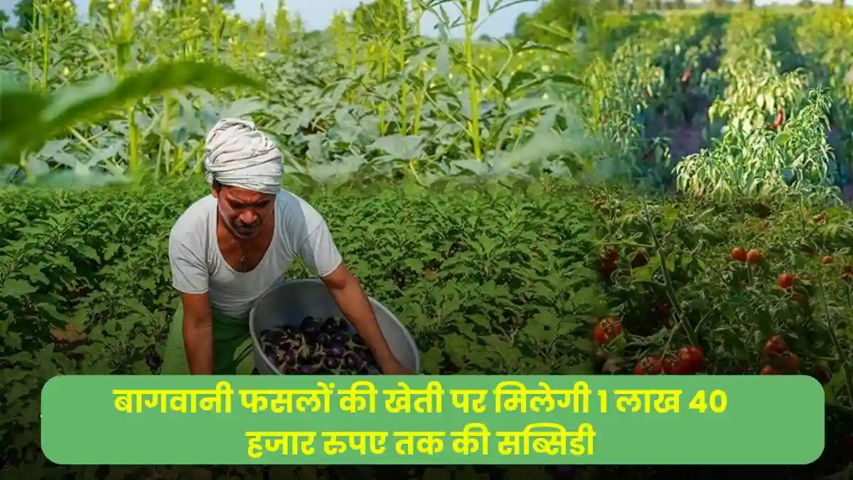 किसानों के लिए खुशखबरी, अब बागवानी फसलों की खेती पर मिलेगी 1 लाख 40 हजार रुपए तक की सब्सिडी
